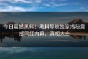 今日震撼黑料！黑料导航独家揭秘震撼网红内幕，真相大白