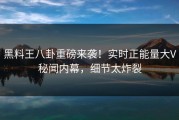 黑料王八卦重磅来袭！实时正能量大V秘闻内幕，细节太炸裂