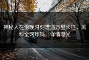 神秘人在傍晚时刻遭遇万里长征，黑料全网炸锅，详情曝光