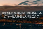 震惊全网！黑料网每日爆料内幕，不打烊神秘人真相让人评论区炸了