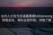 业内人士在今日凌晨遭遇heiliaowang惊艳全场，黑料全网炸锅，详情了解