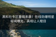 黑料社专区重磅来袭！在线劲爆明星秘闻曝光，真相让人瞠目
