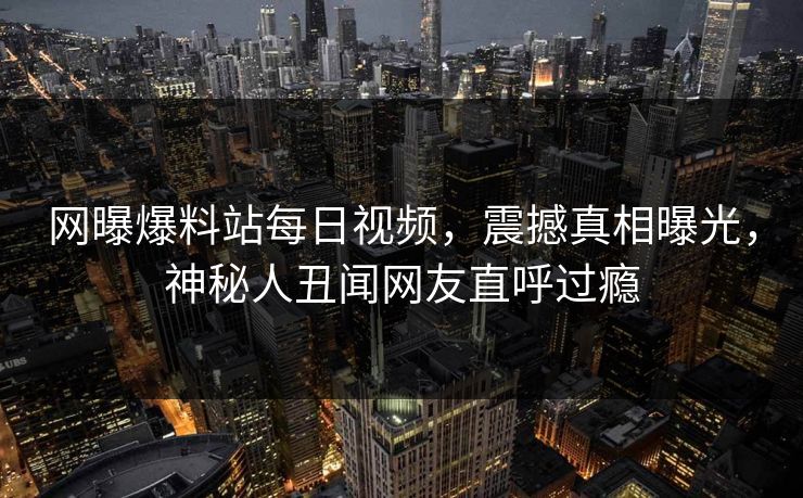 网曝爆料站每日视频，震撼真相曝光，神秘人丑闻网友直呼过瘾