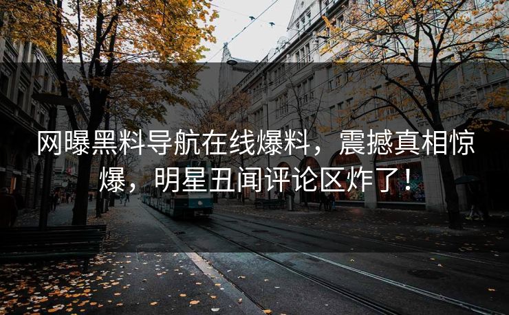 网曝黑料导航在线爆料，震撼真相惊爆，明星丑闻评论区炸了！