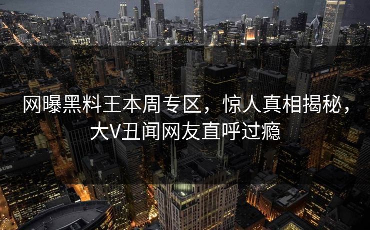 网曝黑料王本周专区，惊人真相揭秘，大V丑闻网友直呼过瘾