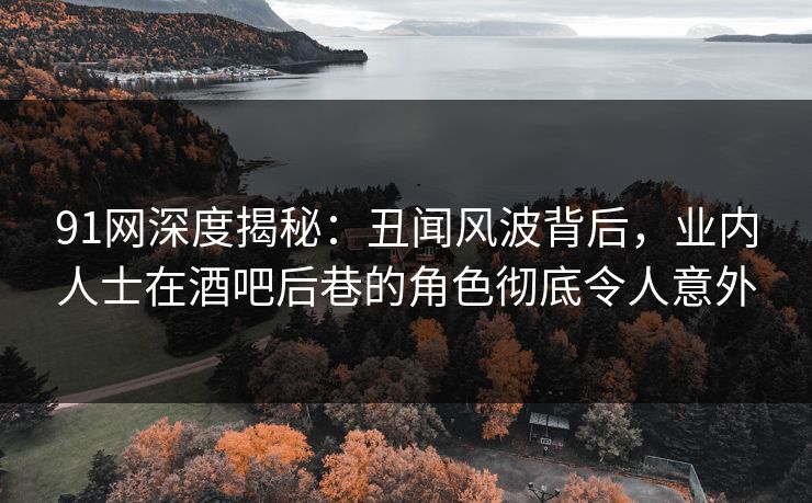 91网深度揭秘：丑闻风波背后，业内人士在酒吧后巷的角色彻底令人意外