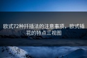 欧式72种扦插法的注意事项，欧式插花的特点三视图