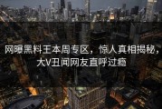 网曝黑料王本周专区，惊人真相揭秘，大V丑闻网友直呼过瘾