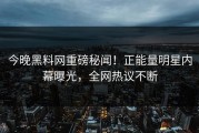 今晚黑料网重磅秘闻！正能量明星内幕曝光，全网热议不断