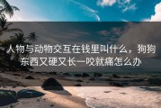 人物与动物交互在钱里叫什么，狗狗东西又硬又长一咬就痛怎么办
