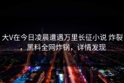 大V在今日凌晨遭遇万里长征小说 炸裂，黑料全网炸锅，详情发现