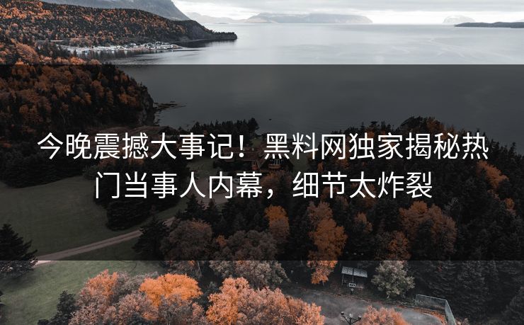 今晚震撼大事记！黑料网独家揭秘热门当事人内幕，细节太炸裂