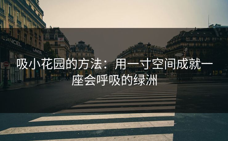 吸小花园的方法：用一寸空间成就一座会呼吸的绿洲